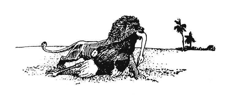 Lion with Ostrich