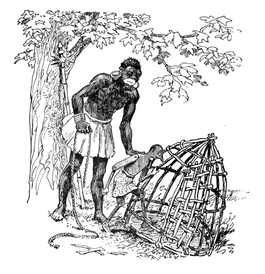 Pinocchio is placed in a cage