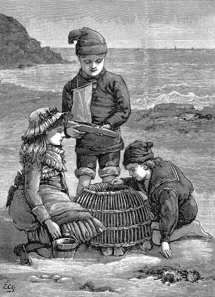 three children lookingo a lobster trap