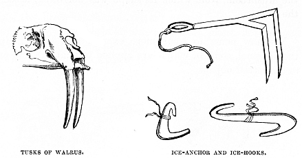 Image unavailable: TUSKS OF WALRUS.
ICE-ANCHOR AND ICE-HOOKS.