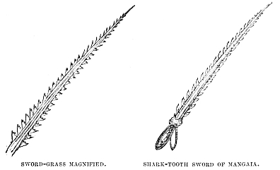 Image unavailable: SWORD-GRASS MAGNIFIED.
SHARK-TOOTH SWORD OF MANGAIA.
