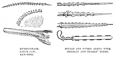 Image unavailable: SWORD-GRASS. LEECH JAW. SAW-FISH.
SPEARS AND SWORD ARMED WITH OBSIDIAN AND SHARKS’ TEETH.