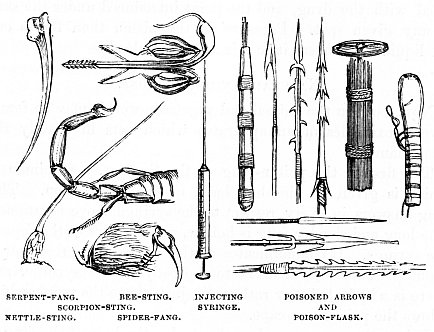 Image unavailable: SERPENT-FANG.
BEE-STING.
SCORPION-STING.
NETTLE-STING.
SPIDER-FANG.
INJECTING SYRINGE.
POISONED ARROWS AND POISON-FLASK.