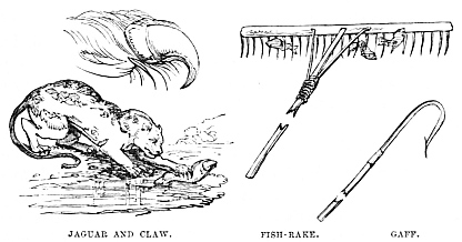 Image unavailable: JAGUAR AND CLAW. FISH-RAKE. GAFF.