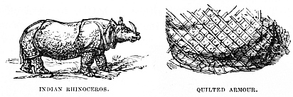 Image unavailable: INDIAN RHINOCEROS. QUILTED ARMOUR.