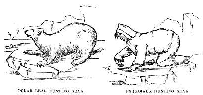 Image unavailable: POLAR BEAR HUNTING SEAL.
ESQUIMAUX HUNTING SEAL.