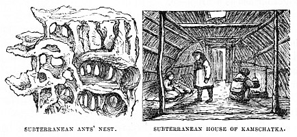 Image unavailable: SUBTERRANEAN ANTS’ NEST. SUBTERRANEAN HOUSE OF
KAMSCHATKA.
