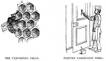 Image unavailable: BEE VARNISHING CELLS.
PAINTER VARNISHING WOOD.