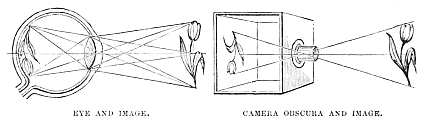 Image unavailable: EYE AND IMAGE.
CAMERA OBSCURA AND IMAGE.