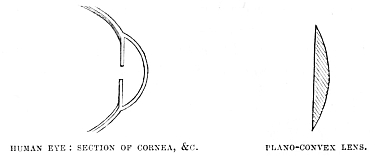 Image unavailable: HUMAN EYE: SECTION OF CORNEA, &C.
PLANO-CONVEX LENS.