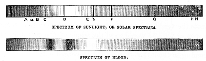 Image unavailable: SPECTRUM OF SUNLIGHT, OR SOLAR SPECTRUM.
SPECTRUM OF BLOOD.