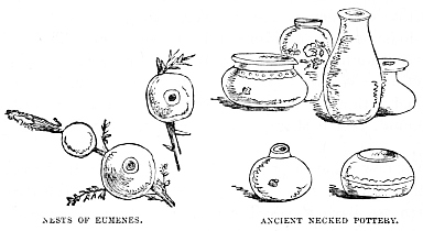 Image unavailable: NESTS OF EUMENES.
ANCIENT NECKED POTTERY.