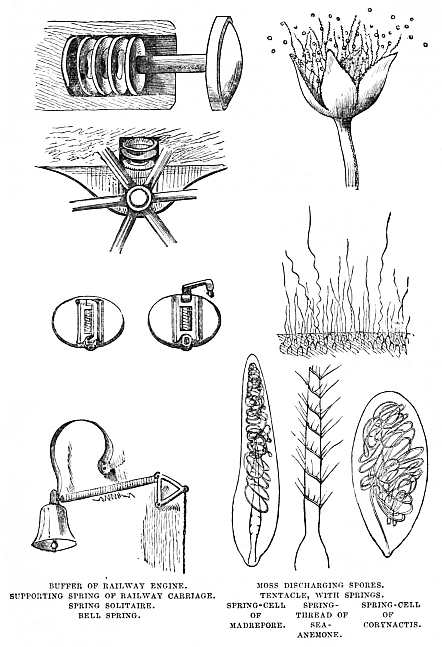 Image unavailable: BUFFER OF RAILWAY ENGINE. MOSS DISCHARGING SPORES.
SUPPORTING SPRING OF RAILWAY CARRIAGE. TENTACLE, WITH SPRINGS.
SPRING SOLITAIRE. SPRING-CELL OF MADREPORE. SPRING-THREAD OF SEA-ANEMONE. SPRING-CELL OF CORYNACTIS.
BELL SPRING.