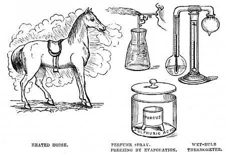 Image unavailable: HEATED HORSE.

PERFUME SPRAY.

FREEZING BY EVAPORATION.

WET-BULB
THERMOMETER.