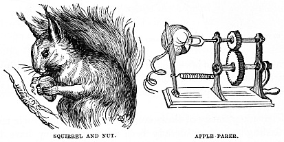 Image unavailable: SQUIRREL AND NUT.
APPLE PARER.
