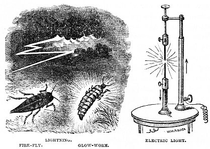 Image unavailable: LIGHTNING.

FIRE-FLY.

GLOW-WORM.

ELECTRIC LIGHT.