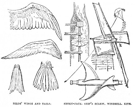 Image unavailable: BIRDS’ WINGS AND TAILS.
SMOKE-JACK. SHIP’S SCREW. WINDMILL. KITE.