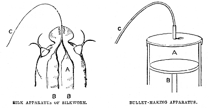 Image unavailable: SILK APPARATUS OF SILKWORM.
BULLET-MAKING APPARATUS.