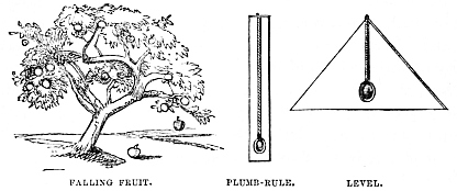 Image unavailable: FALLING FRUIT.
PLUMB-RULE.
LEVEL.