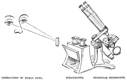 Image unavailable: COMBINATION OF HUMAN EYES.
STEREOSCOPE.
BINOCULAR MICROSCOPE.