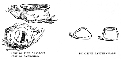 Image unavailable: NEST OF PIED GRALLINA.

NEST OF OVEN-BIRD.

PRIMITIVE EARTHENWARE.