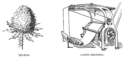 Image unavailable: TEAZLE.
CLOTH-DRESSING.