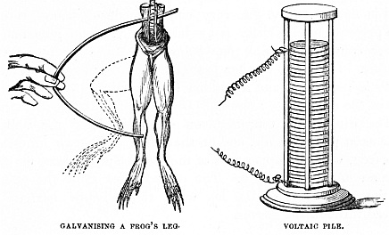 Image unavailable: GALVANISING A FROG’S LEG.
VOLTAIC PILE.