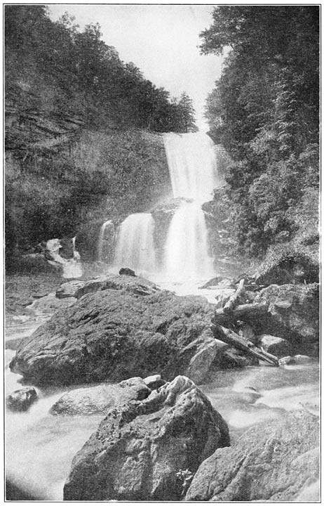 Tuckaseigee Falls, above Dillsboro, N. C.