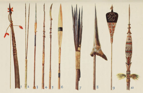 Bows, arrows and spears.