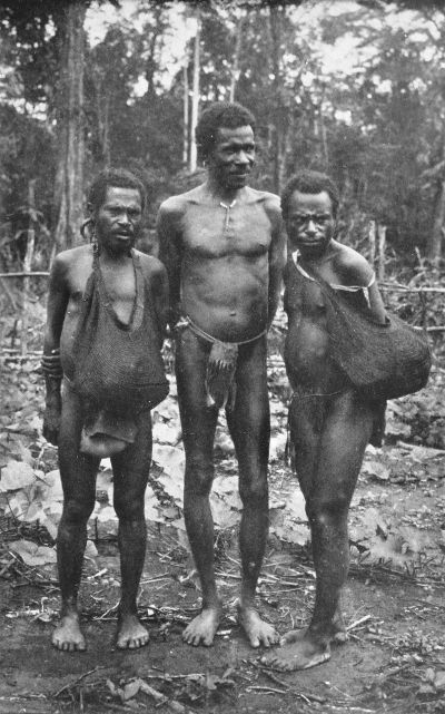 A PAPUAN WITH TWO TAPIRO PYGMIES.