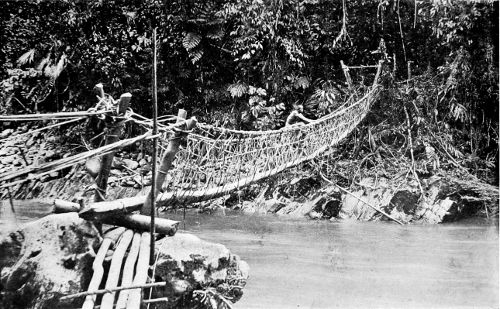 BRIDGE MADE BY THE EXPEDITION ACROSS THE IWAKA RIVER.