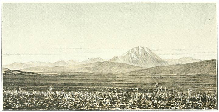 Fig. 112. The Kuseh Dagh from the Plain of Alashkert.