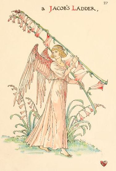 A pink angel carrying two slocks of Jacob's Ladder