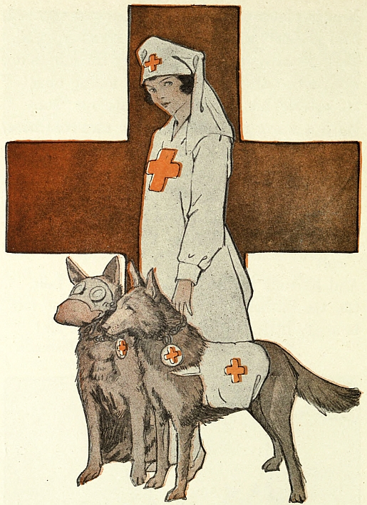 Red Cross nurse and two dogs in Red Cross vests