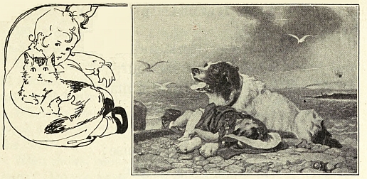 Drawn toddler and cat; next frame dog on shore with child across front paws