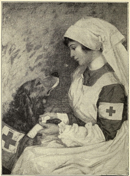 Nurse in uniform and dog in vest