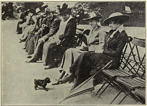 Photo of very smallpuppy at feet of lady sitting on long row of chairs 