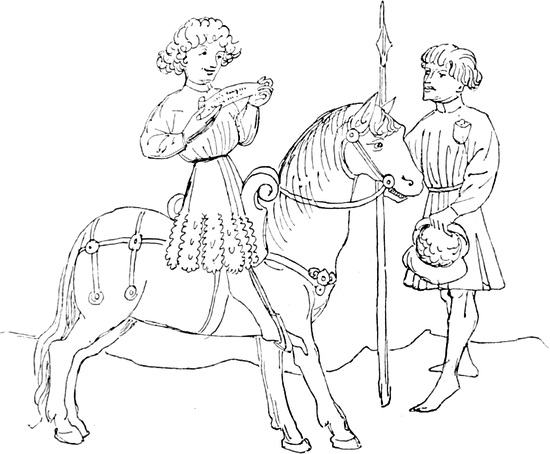 Vier Beine tragen deine Seele Pferd 28 x 12 cm Spruch Deko Blechschild 1850
