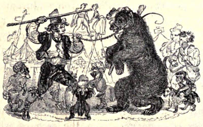 A bear in chains being made to dance