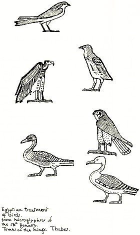 Egyptian treatment of birds.