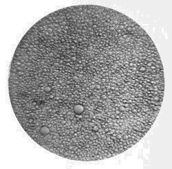 microscopic view of cream