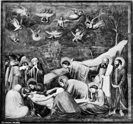 Image unvavailable: Giotto. Pietà      Arena Chapel, Padua

Plate VI.