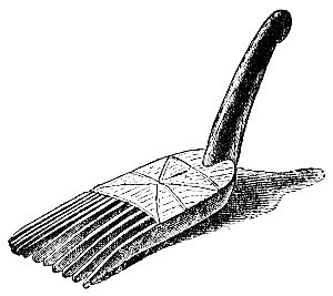 A Wooden Comb.