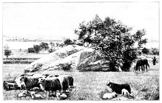 Image unavailable: PULPIT ROCK, CLARK’S ISLAND, FROM WHICH THE FIRST SERMON WAS
PREACHED.