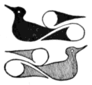 Bird symbols