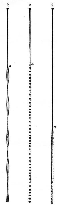 Fig. 140.