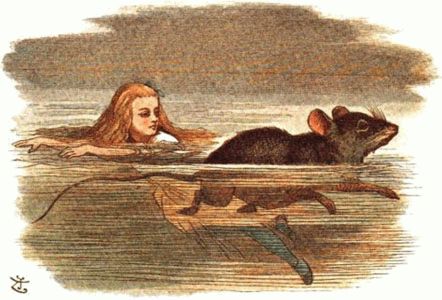 Alice and a mouse in water