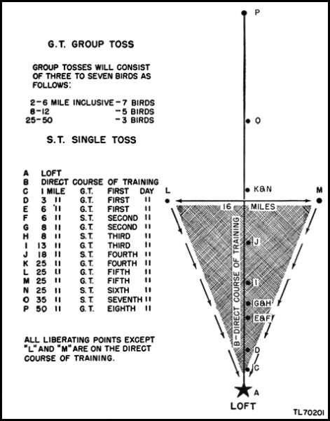 Pd Indemnity Chart