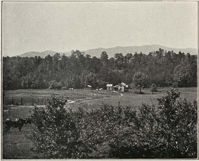 PEACH ORCHARD AND GARDEN, SEEN FROM A COLONY PORCH
