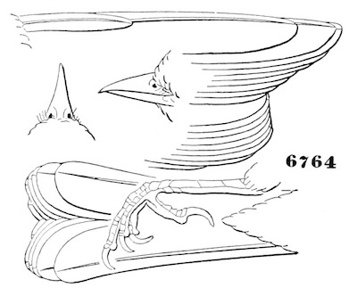 Auriparus flaviceps